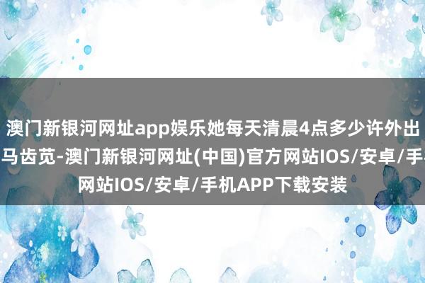 澳門新銀河網址app娛樂她每天清晨4點多少許外出到郊外尋找野生馬齒莧-澳門新銀河網址(中國)官方網站IOS/安卓/手機APP下載安裝