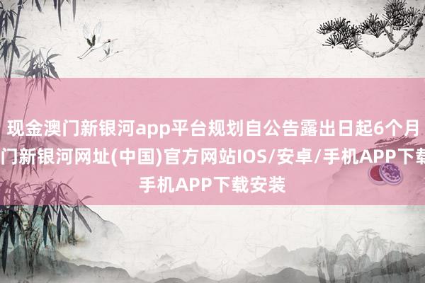 現金澳門新銀河app平臺規劃自公告露出日起6個月內-澳門新銀河網址(中國)官方網站IOS/安卓/手機APP下載安裝