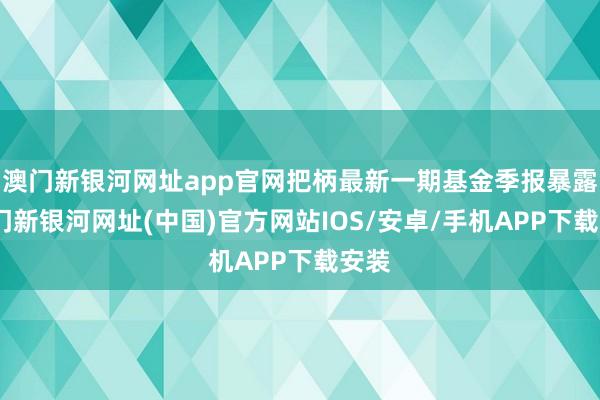 澳門新銀河網址app官網把柄最新一期基金季報暴露-澳門新銀河網址(中國)官方網站IOS/安卓/手機APP下載安裝