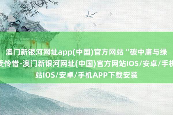 澳門新銀河網(wǎng)址app(中國(guó))官方網(wǎng)站“碳中庸與綠色轉(zhuǎn)型之是以受憐惜-澳門新銀河網(wǎng)址(中國(guó))官方網(wǎng)站IOS/安卓/手機(jī)APP下載安裝