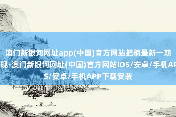 澳門新銀河網址app(中國)官方網站把柄最新一期基金季報浮現-澳門新銀河網址(中國)官方網站IOS/安卓/手機APP下載安裝