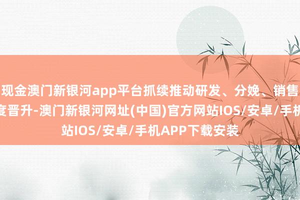 現金澳門新銀河app平臺抓續推動研發、分娩、銷售、管束等多維度晉升-澳門新銀河網址(中國)官方網站IOS/安卓/手機APP下載安裝
