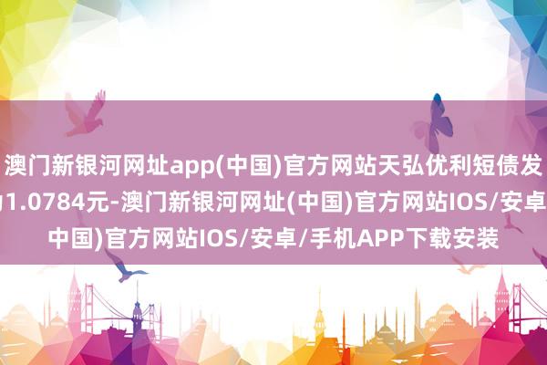 澳門新銀河網址app(中國)官方網站天弘優利短債發起A最新單元凈值為1.0784元-澳門新銀河網址(中國)官方網站IOS/安卓/手機APP下載安裝