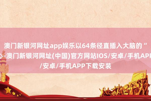 澳門新銀河網(wǎng)址app娛樂以64條徑直插入大腦的“線”為中心-澳門新銀河網(wǎng)址(中國)官方網(wǎng)站IOS/安卓/手機APP下載安裝