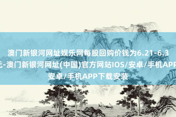 澳門新銀河網址娛樂網每股回購價錢為6.21-6.35好意思元-澳門新銀河網址(中國)官方網站IOS/安卓/手機APP下載安裝