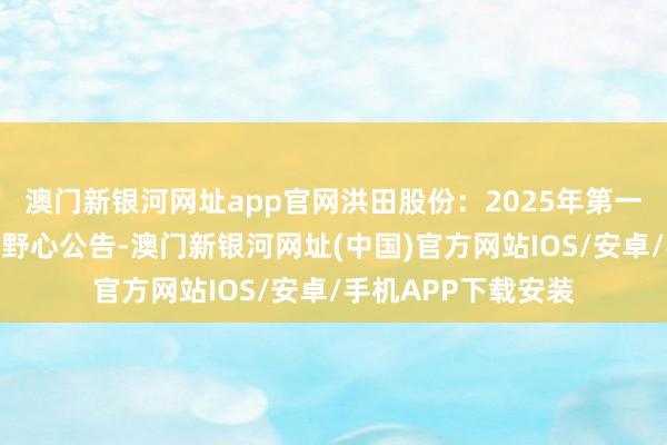 澳門新銀河網址app官網洪田股份：2025年第一次臨時激動大會有野心公告-澳門新銀河網址(中國)官方網站IOS/安卓/手機APP下載安裝